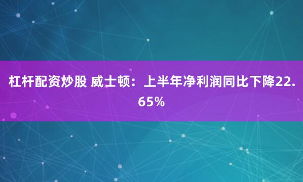 杠杆配资炒股 威士顿：上半年净利润同比下降22.65%