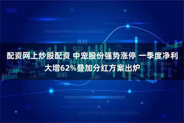 配资网上炒股配资 中宠股份强势涨停 一季度净利大增62%叠加分红方案出炉