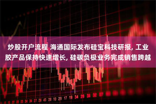 炒股开户流程 海通国际发布硅宝科技研报, 工业胶产品保持快速增长, 硅碳负极业务完成销售跨越