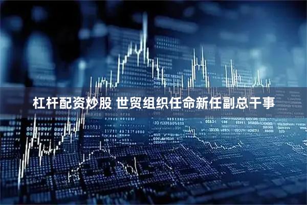 杠杆配资炒股 世贸组织任命新任副总干事